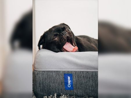 #13 Go Ahead And Yawn 