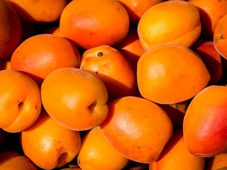 #16 Apricots 