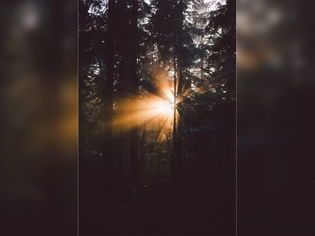 #4 Make Sure To Get Enough Vitamin D 