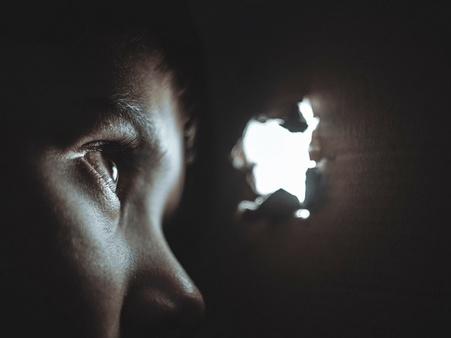 #4 They do not understand fear. 