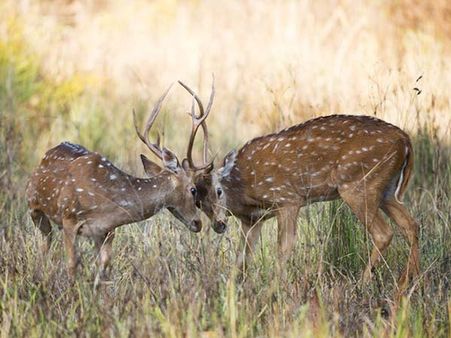 #7 Relationship Tensions