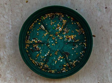 #9 Fenugreek Seed Paste