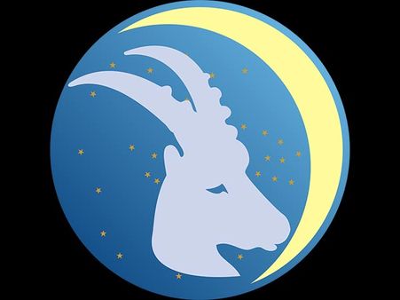 Capricorn : 23 December-20 January Capricorn : 23 December-20 January