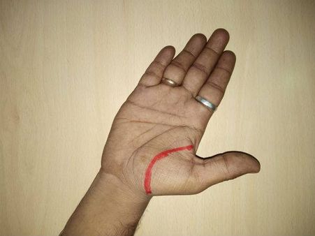 If The Lifeline Overlaps...