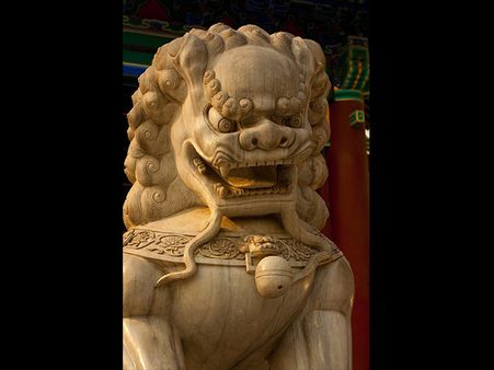 The Predictions For 2018, The Year Of The Dog