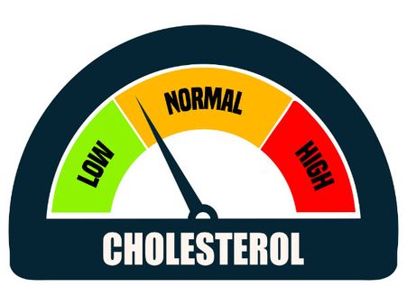 6) Regulates Cholesterol Levels:
