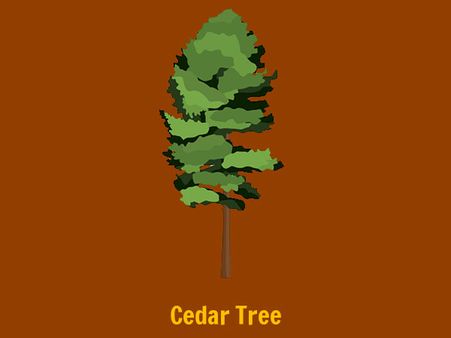 The Cedar Tree