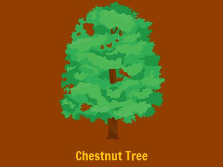 The Chestnut Tree