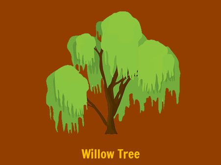 The Willow Tree