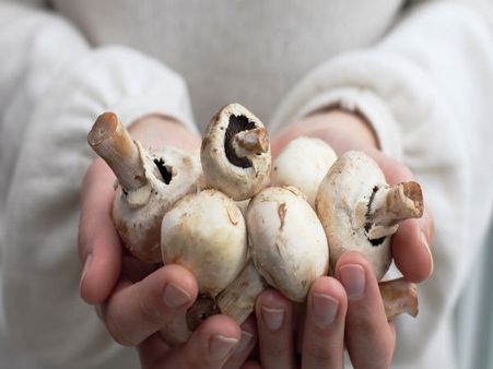 2. White Mushrooms