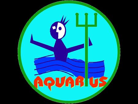 Aquarius : 21 January-19 February