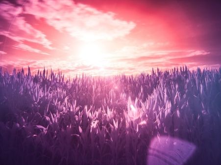 #4 Hand tremors, vivid dreams, and involuntary flexing of muscles.