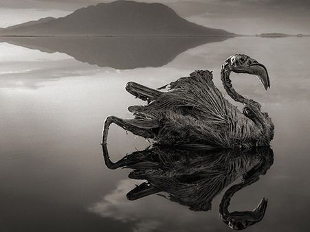 What Is Different About This Place?