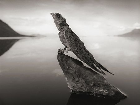 The Temperature Here Is Really Hot!