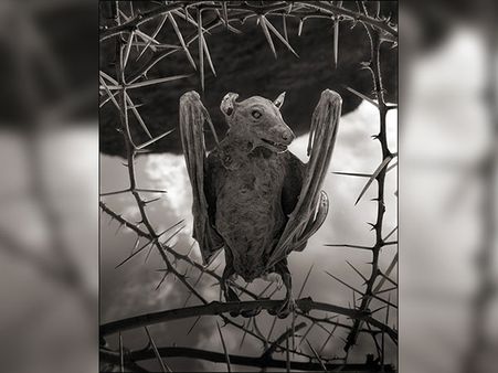 The Scientific Factor That Plays The Vital Role