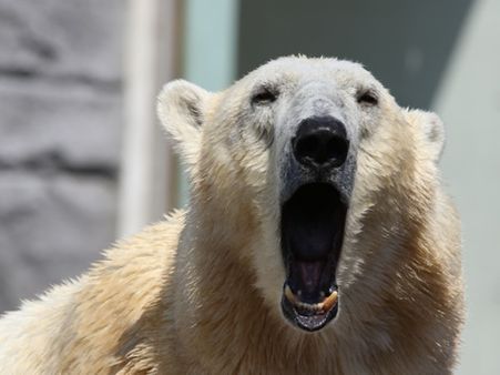 6. Don’t Eat When You Are Bored