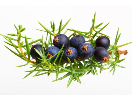 7. Juniper Berries