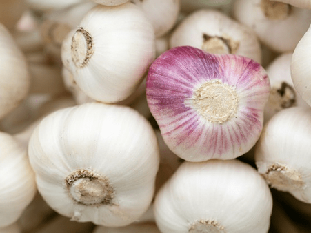 10. Garlic