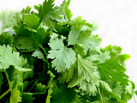 7. Parsley