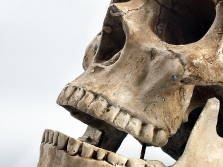 #6 It Can Strengthen Your Bones