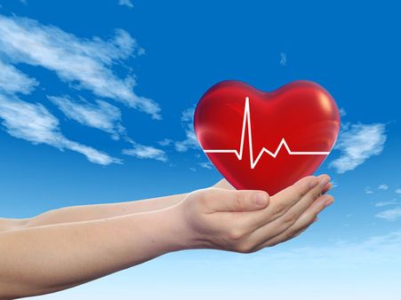 12. Improves Cardiovascular Health