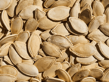 8. Pumpkin Seeds