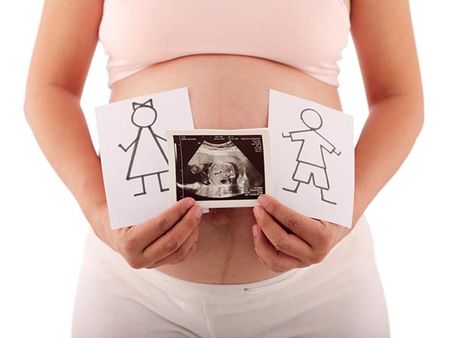 The Gender Of The Baby