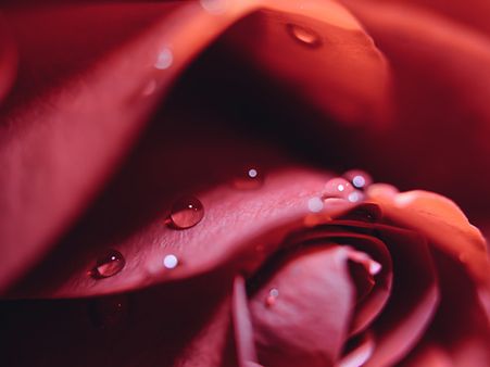 Some tips to remember