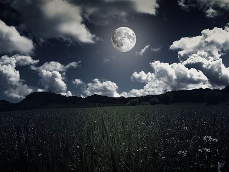 For Viewers In New York City