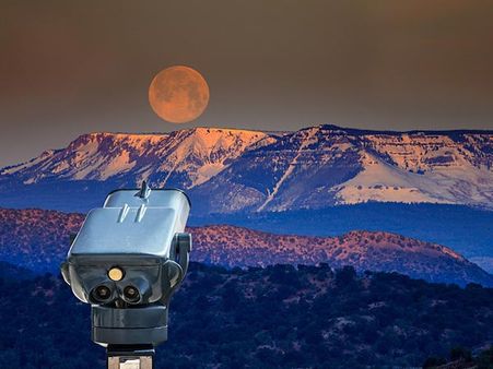 The Highlight Of The Evening Would Be