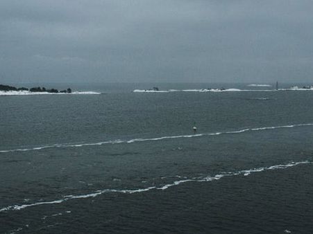 The Colour 'Grey' The Colour 'Grey'