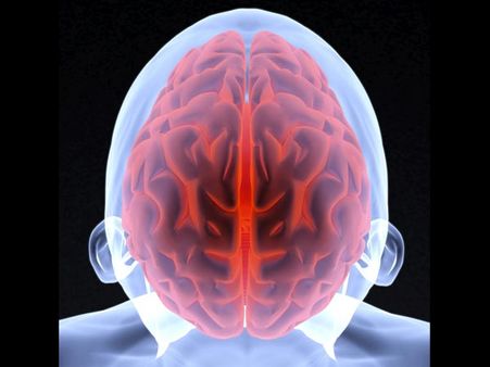 1. Effects On The Brain