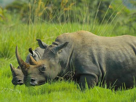 Aquarius: Jan 21-Feb 18