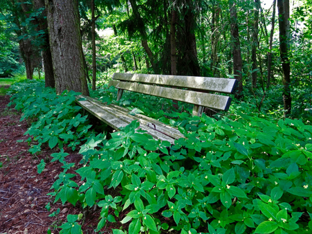 Step 18: Take A Break 