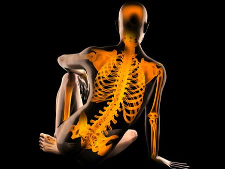 2. Effects On Our Skeletal Systems