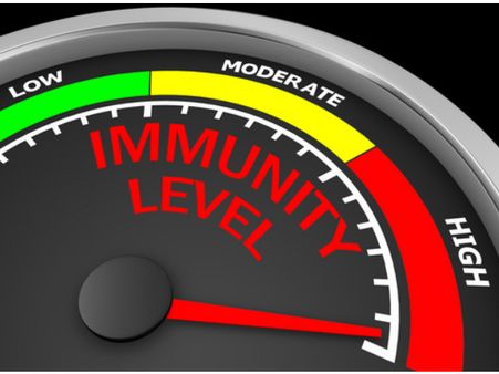 3. Improves Immunity