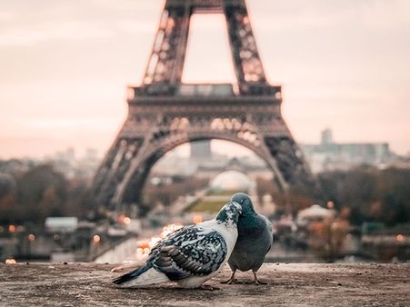 Families Coming Into The Picture