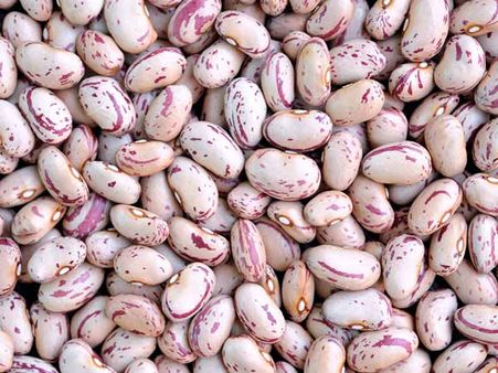 5. Pinto Beans
