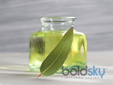 4. Eucalyptus Essential Oil