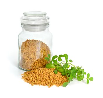  1. Fenugreek Seeds