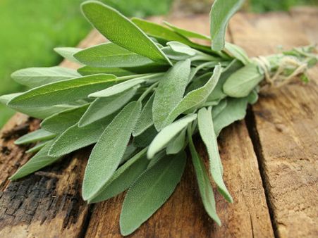 8. Rosemary And Sage: 8. Rosemary And Sage: