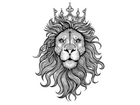 If You Chose The Lion! If You Chose The Lion!