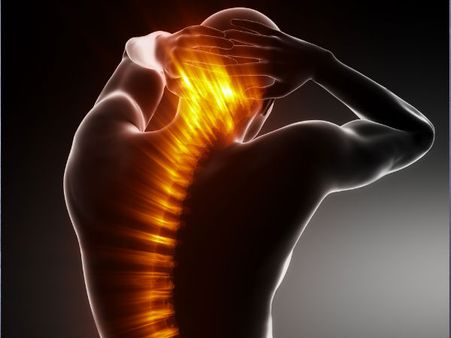 2. Gelatin Improves Bone Health 2. Gelatin Improves Bone Health