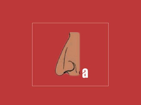 If Your Nose Shape Resembles “A”
