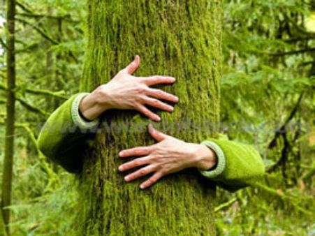 The Meaning Of The Name