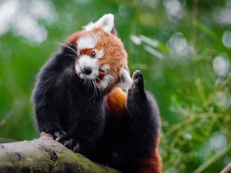 #7 If Your Nether Region Itches All The Time, That’s A Problem #7 If Your Nether Region Itches All The Time, That’s A Problem