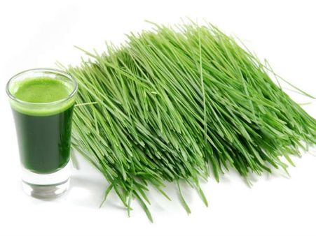 8. Wheat Grass Juice: