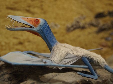 If Your Choice Is Pterodactyl 