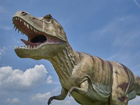 If Your Choice Is T-Rex