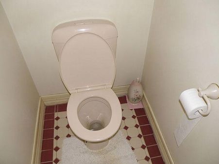 Their Report Revealed